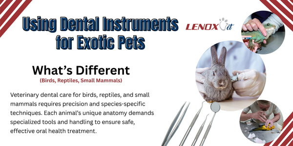 Using Dental Instruments for Exotic Pets: What’s Different (Birds, Reptiles, Small Mammals)