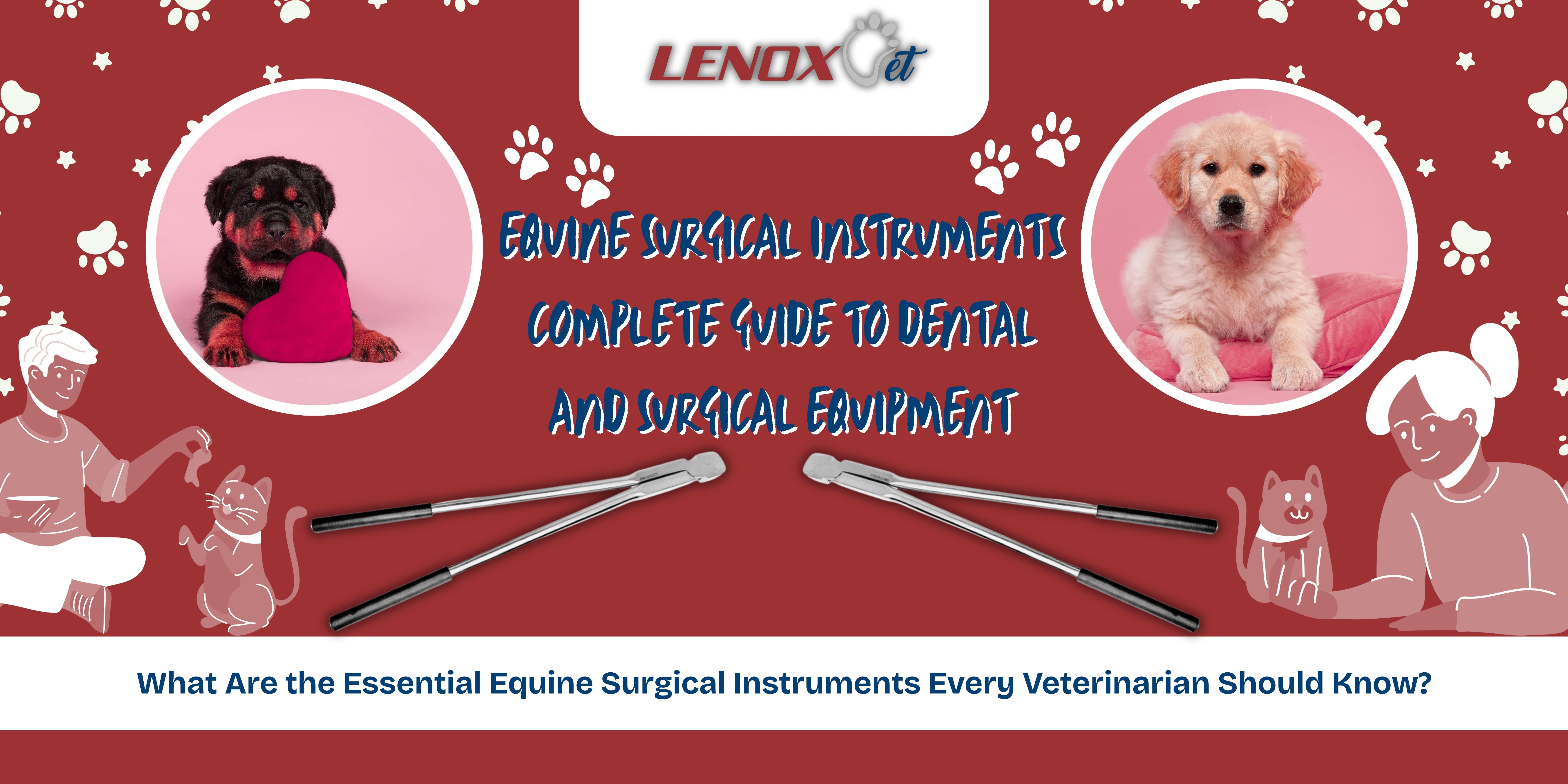 Equine Surgical Instruments: Complete Guide to Dental and Surgical Equipment