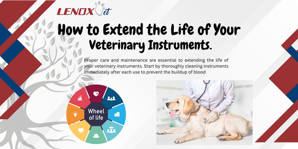 How to Extend the Life of Your Veterinary Instruments