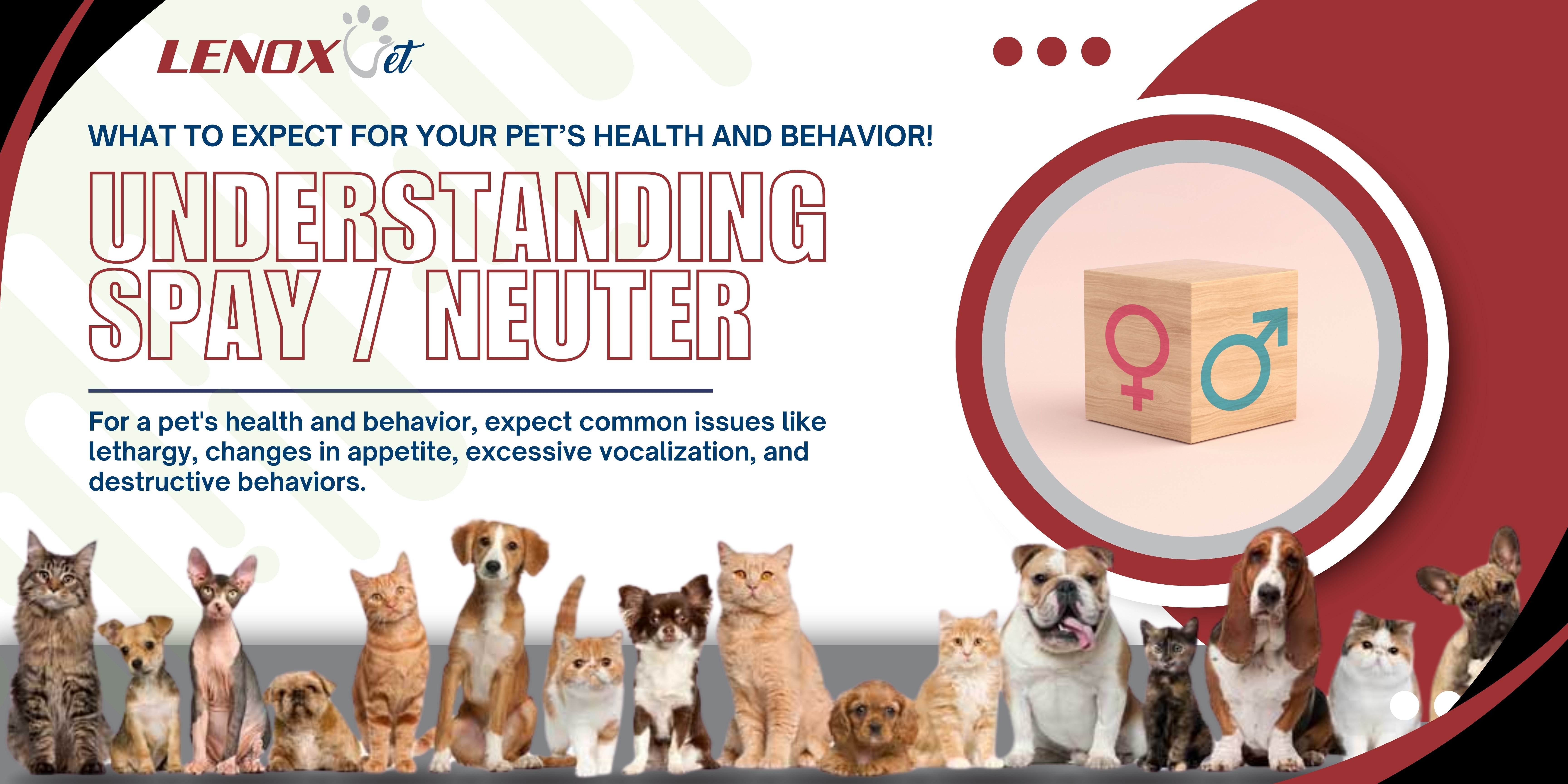 Understanding the Effects of Spay Neuter: What to Expect