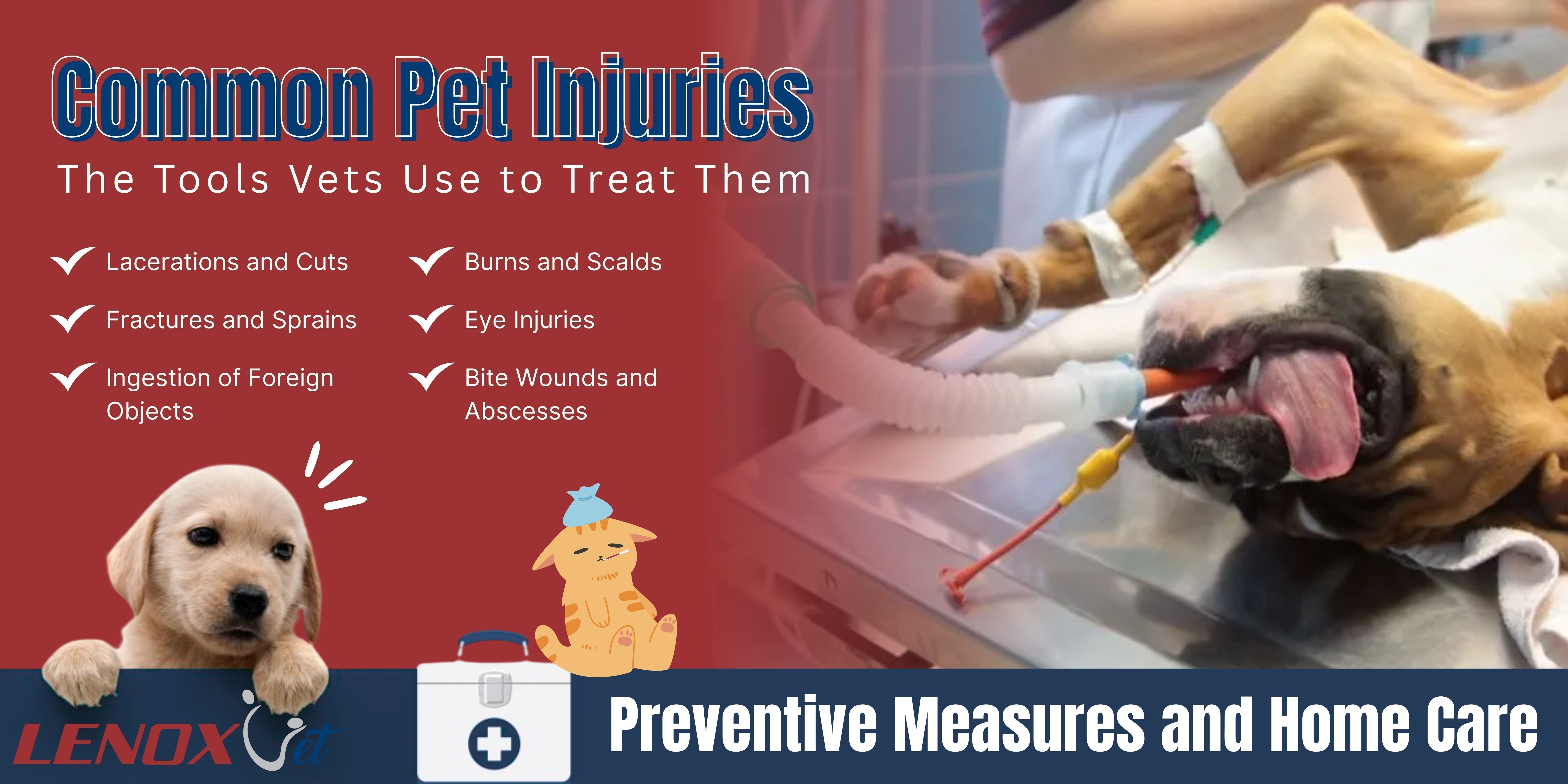 Common Pet Injuries and the Tools Vets Use to Treat Them