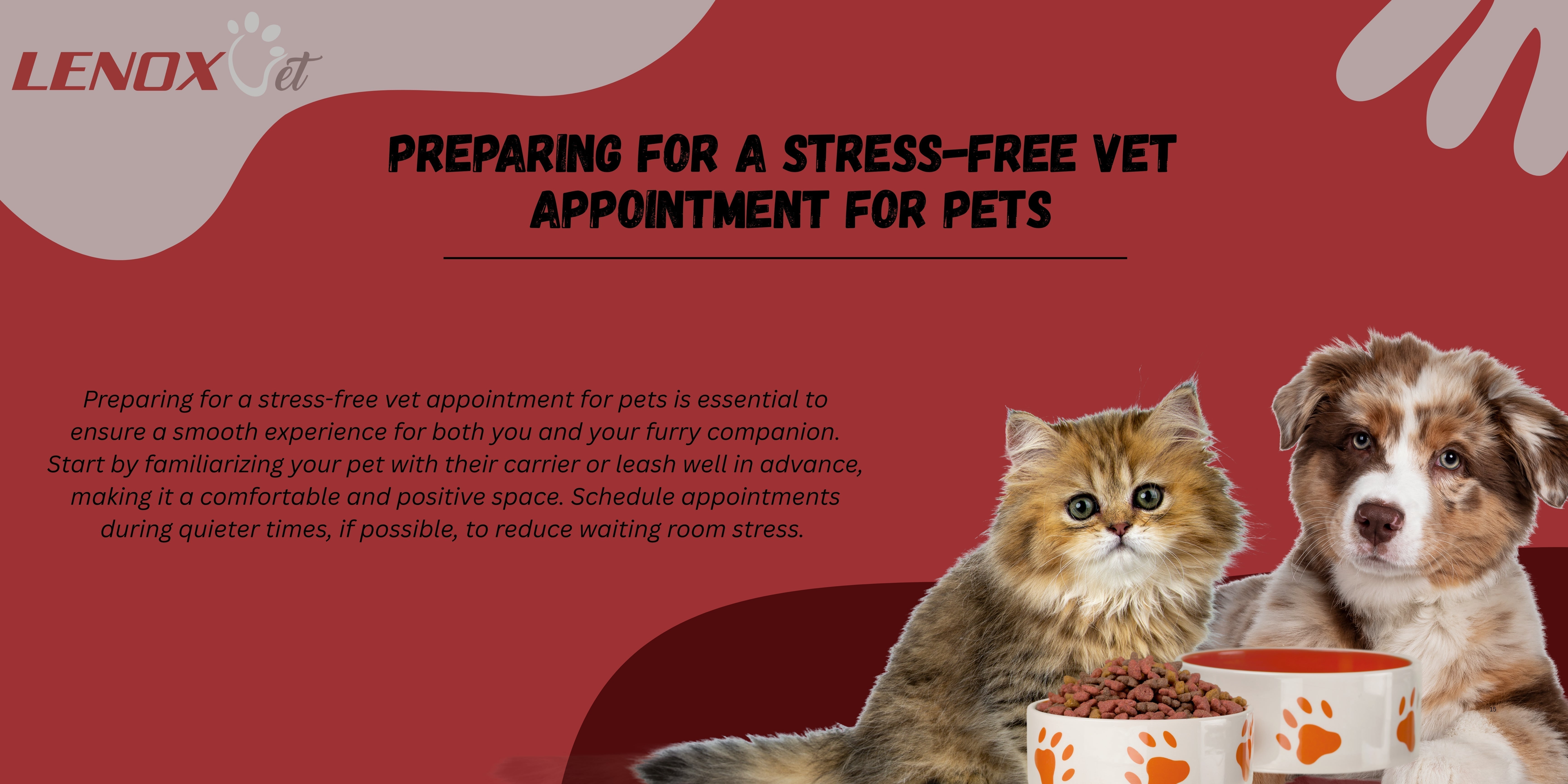 Preparing for a Stress-Free Vet Appointment for Pets