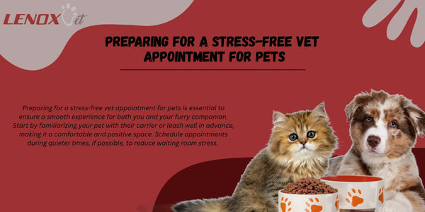 Preparing for a Stress-Free Vet Appointment for Pets