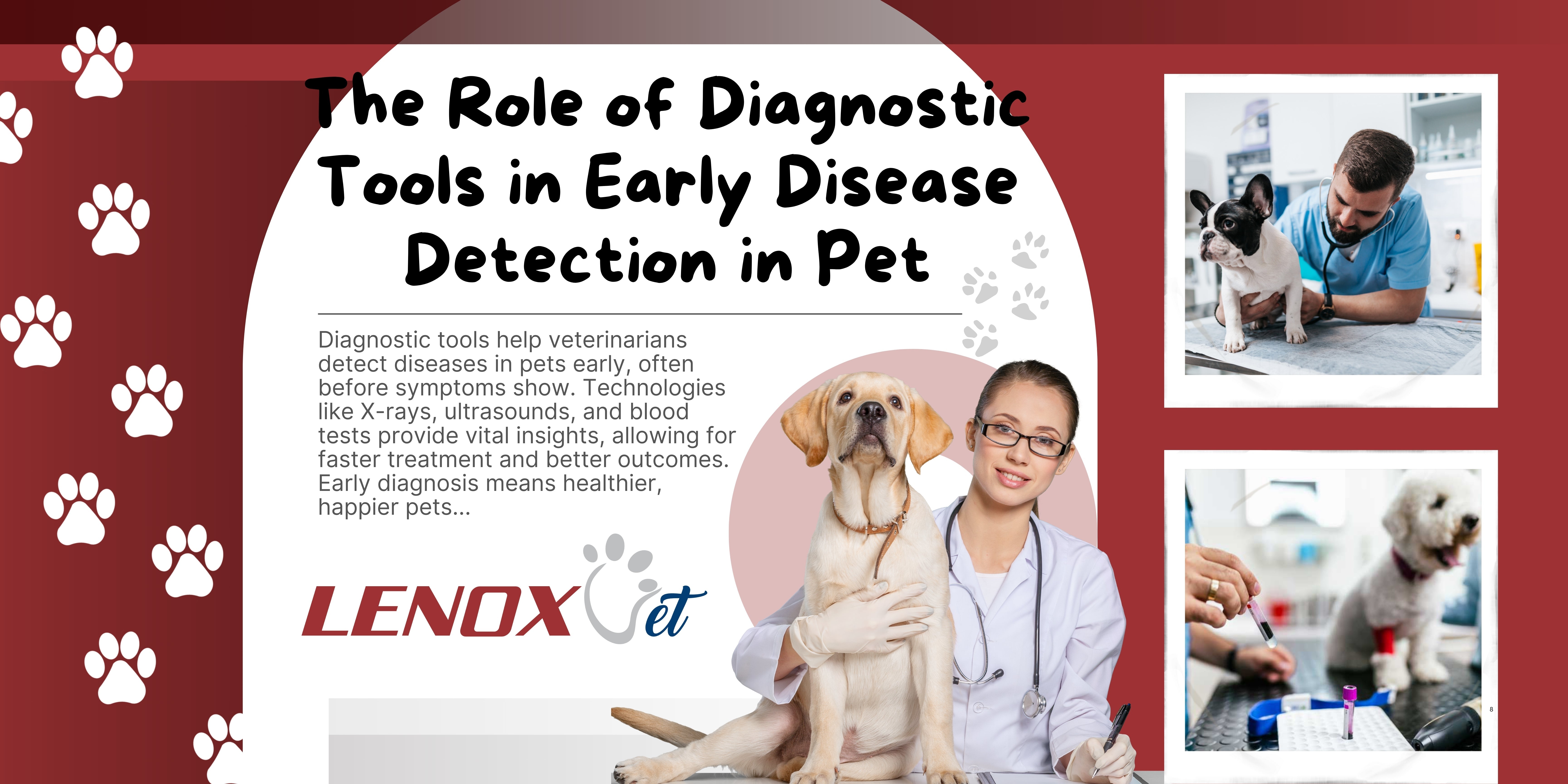 The Role of Diagnostic Tools in Early Disease Detection in Pet