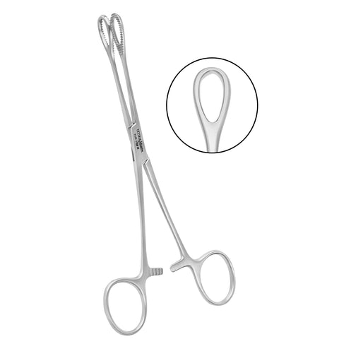 Sponge Forceps 9 1/2" STR- SERRATED