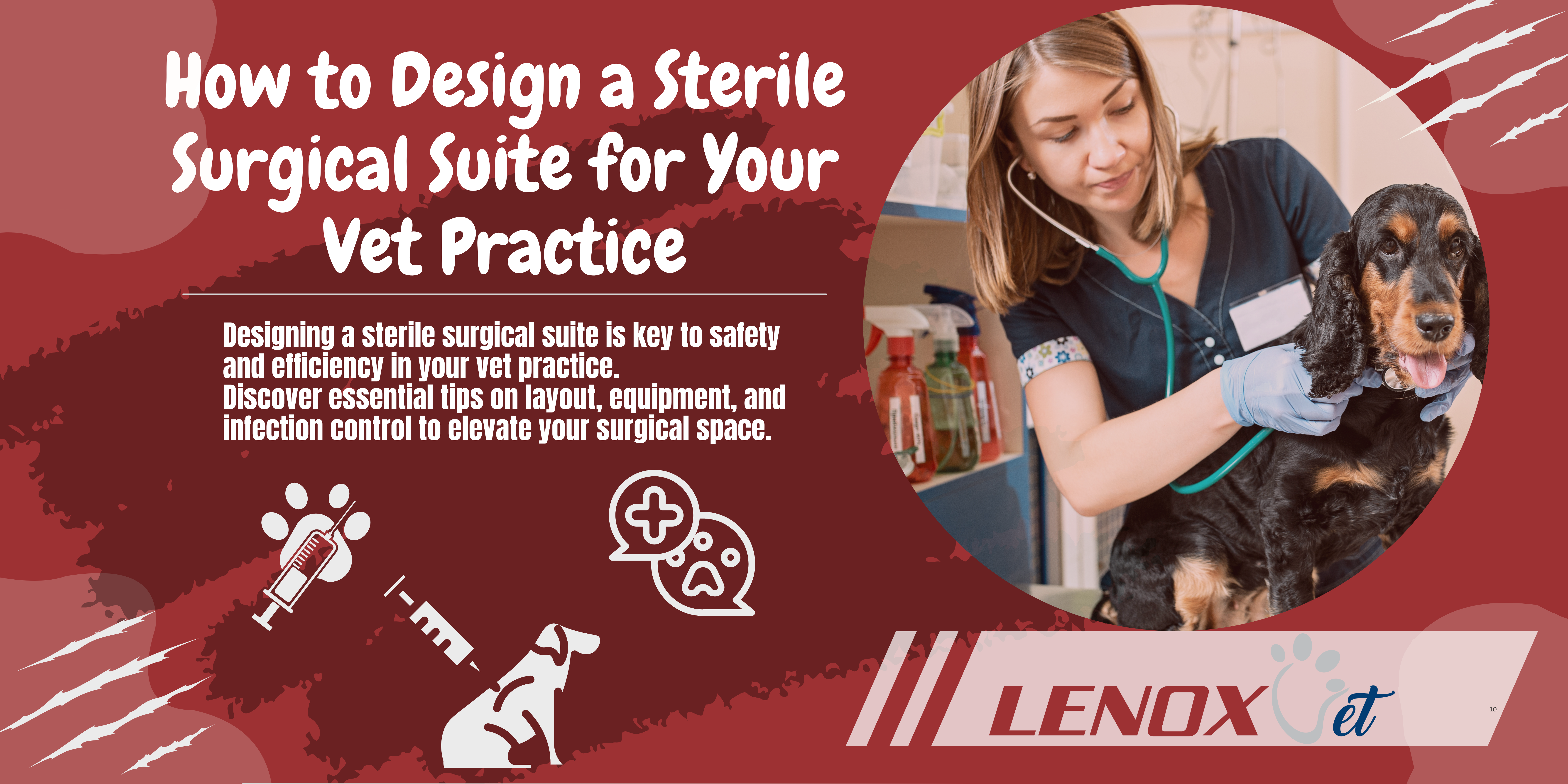 How to Design a Sterile Surgical Suite for Your Vet Practice