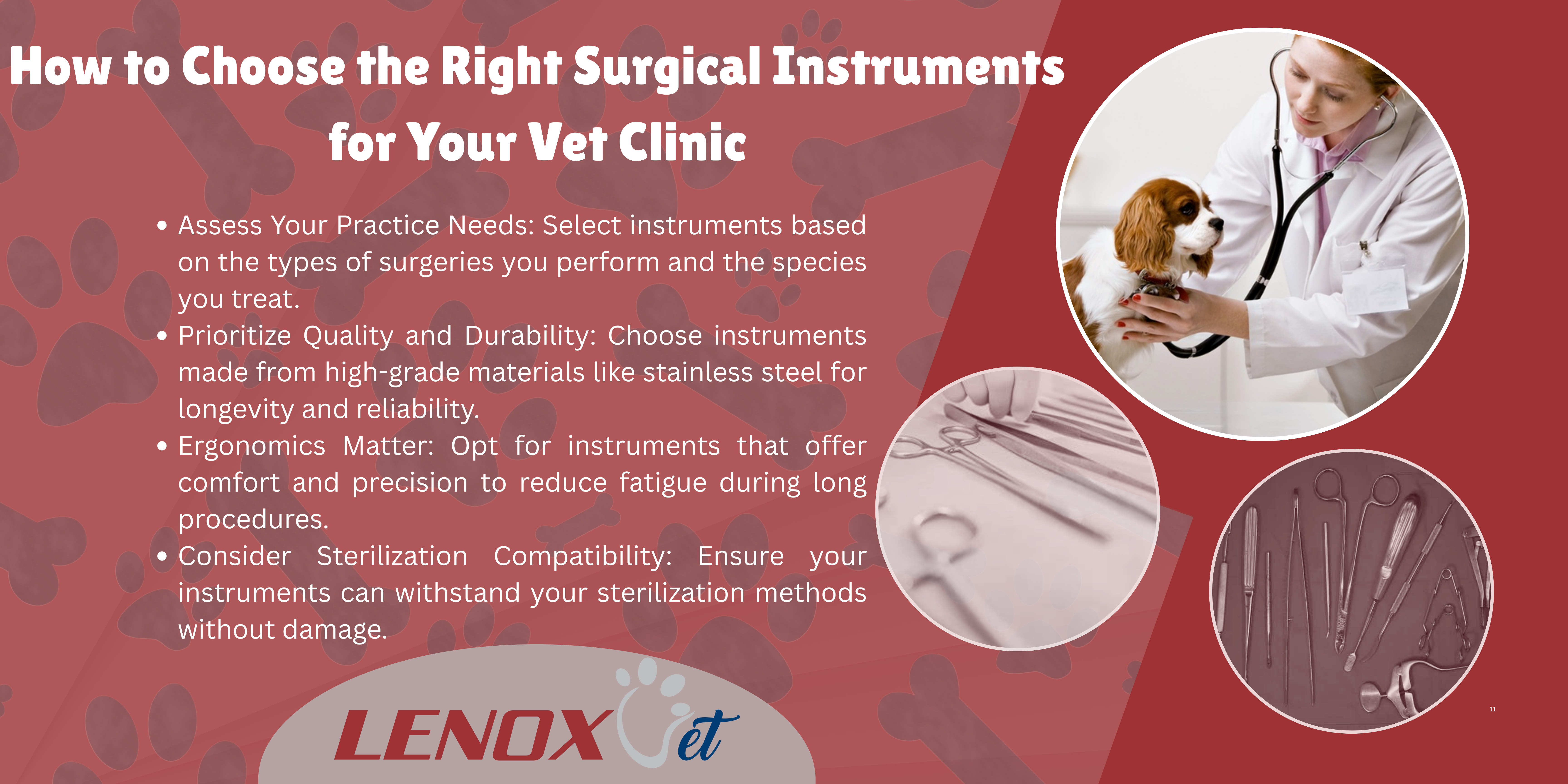 How to Choose the Right Surgical Instruments for Your Vet Clinic?