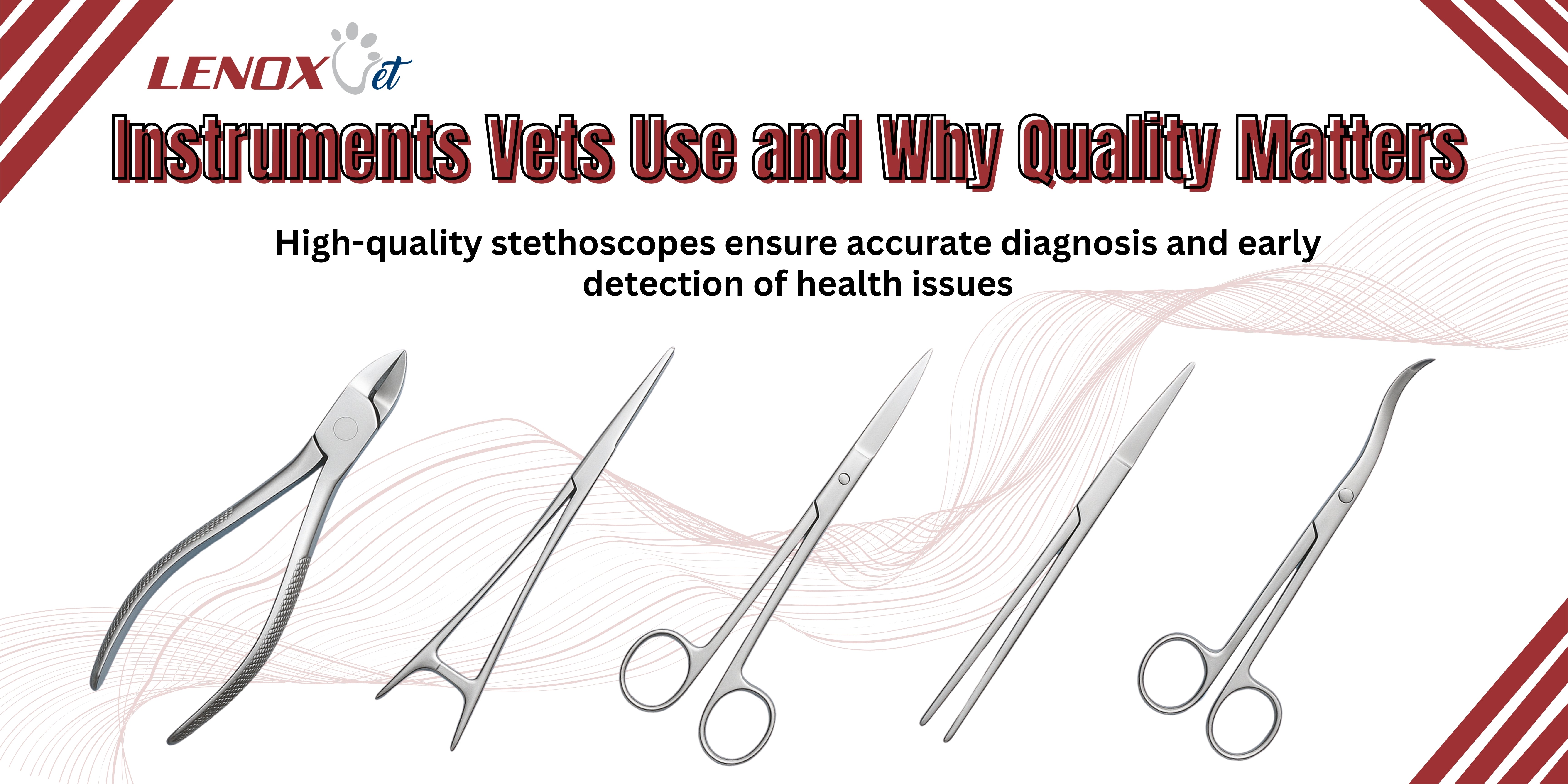 Common Dental Problems in Pets: Instruments Vets Use and Why Quality Matters