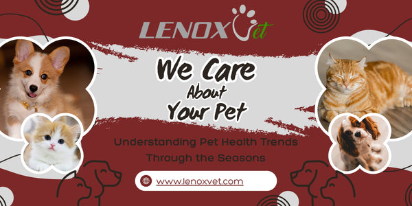 Understanding Pet Health Trends Through the Seasons