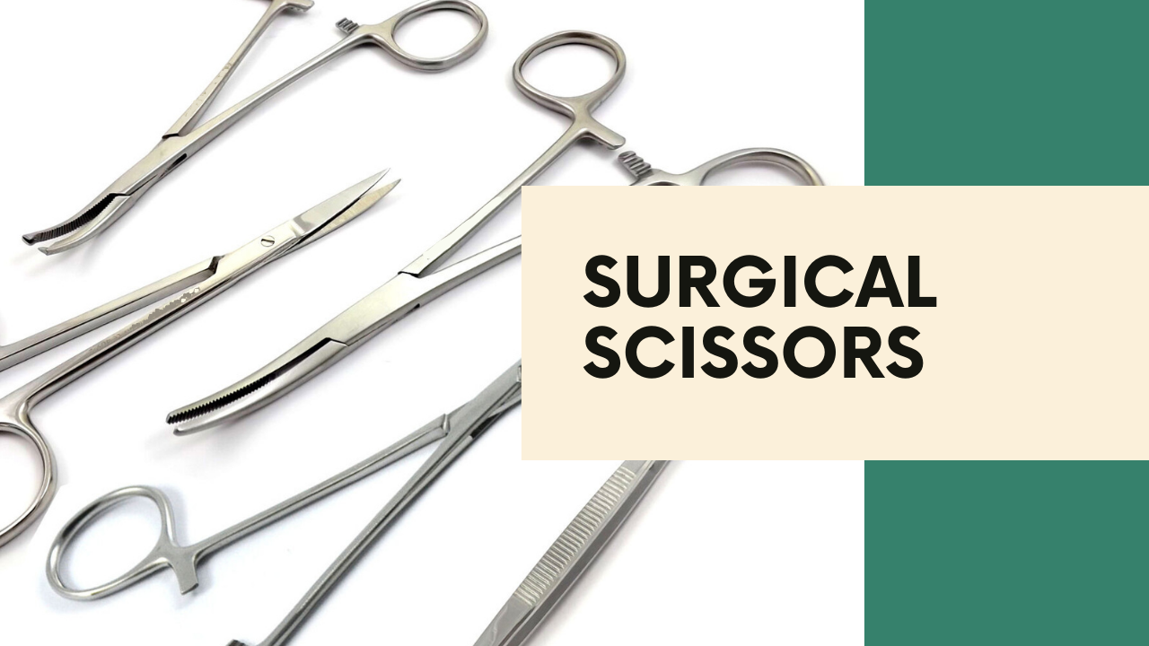 Surgical Scissors: Precision Tools in Veterinary Surgery