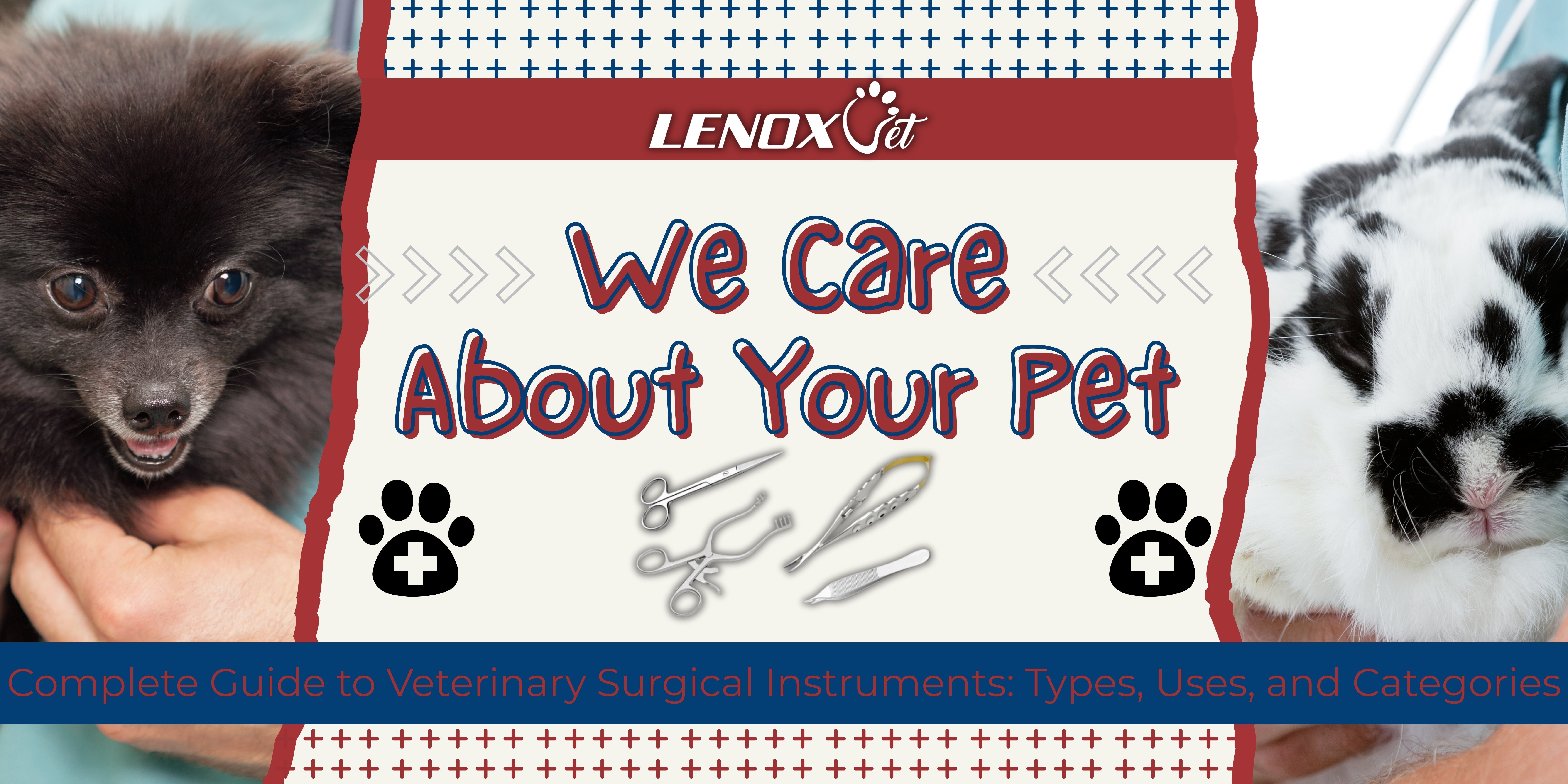 Complete Guide to Veterinary Surgical Instruments: Types, Uses, and Categories