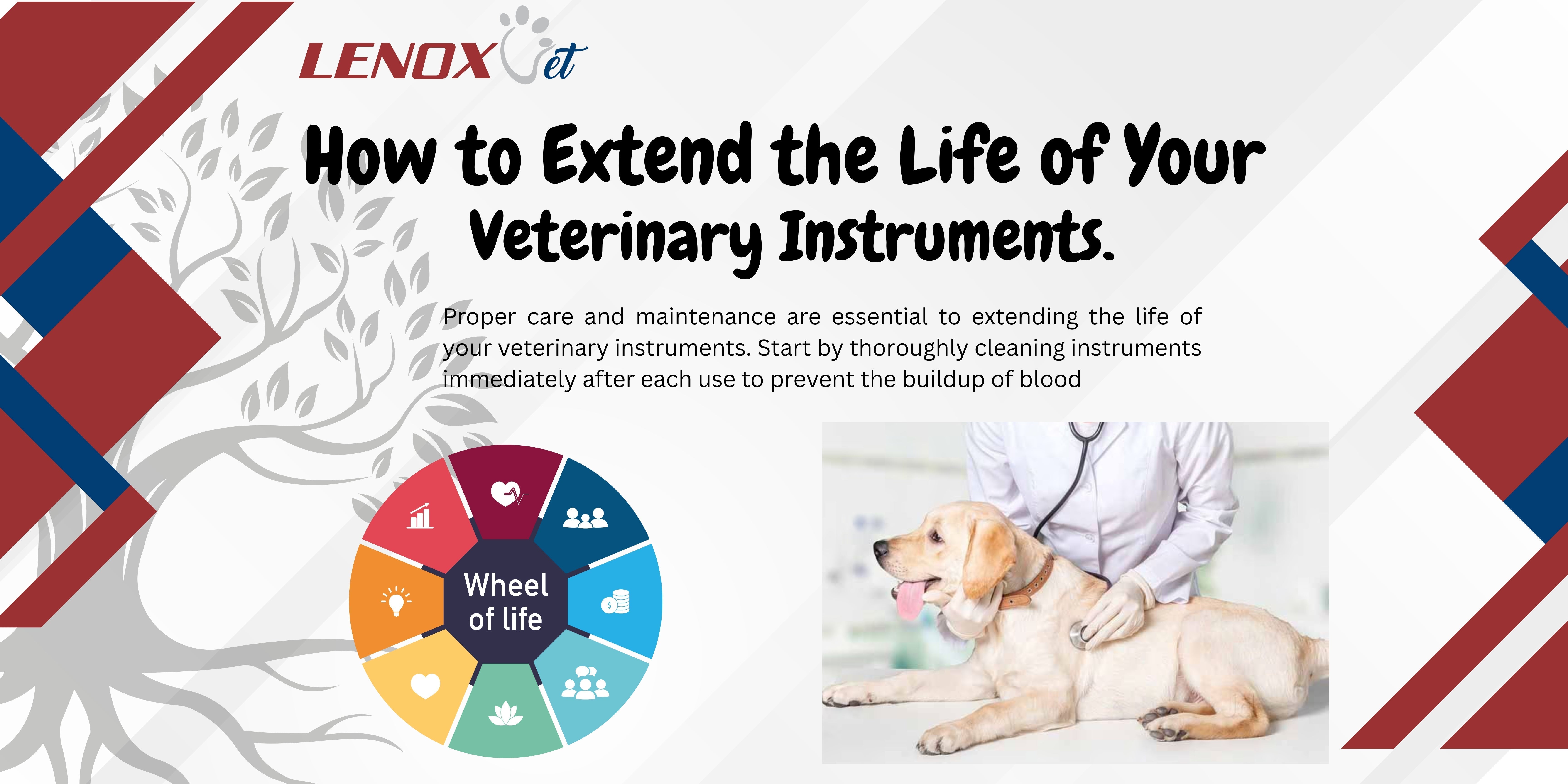 How to Extend the Life of Your Veterinary Instruments