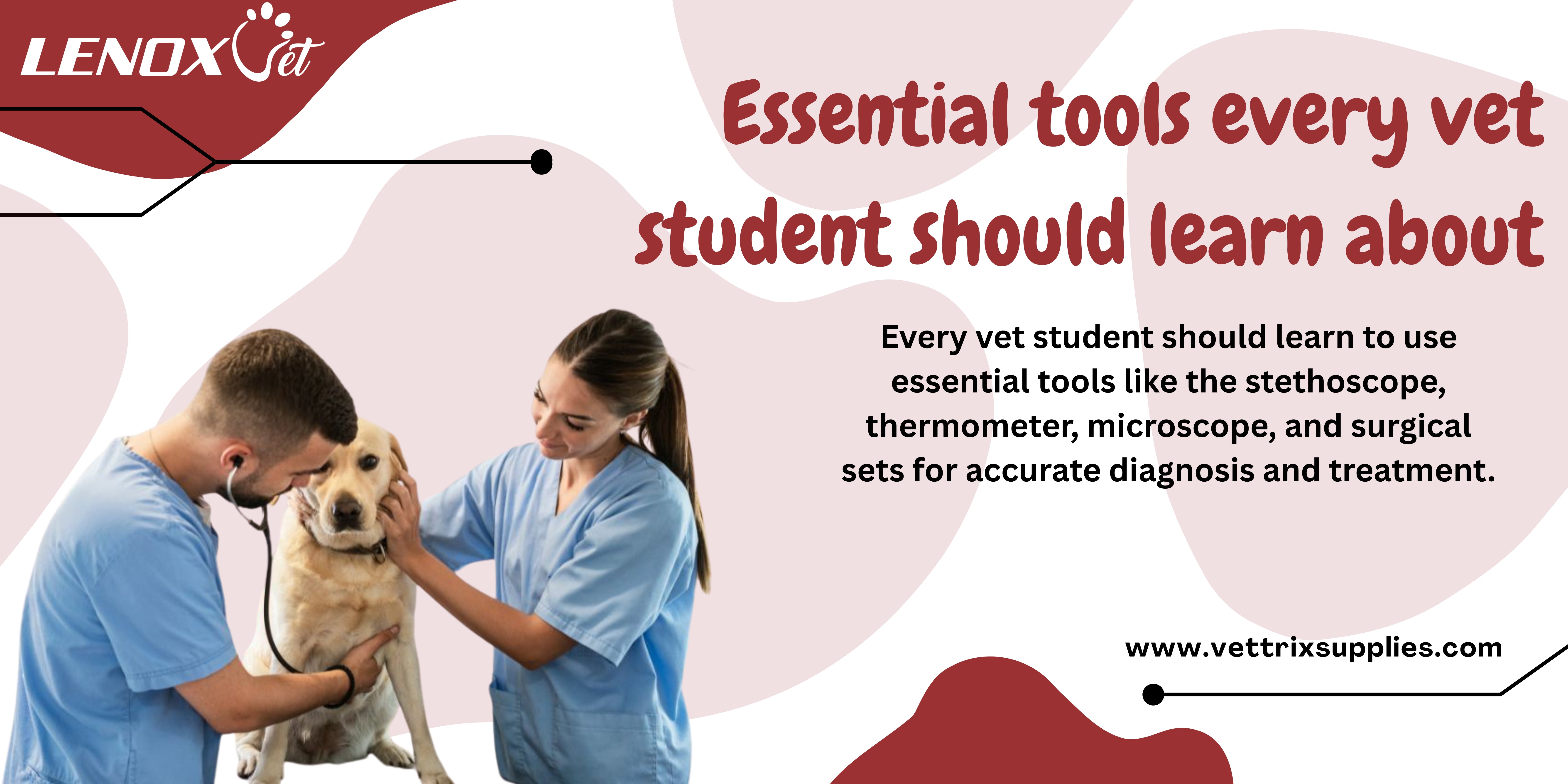 essential tools every vet student should learn about