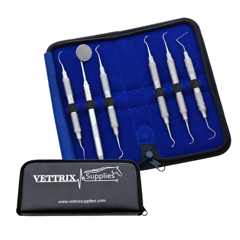 Dental Scaler Kit