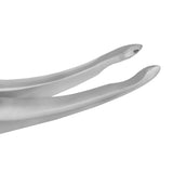 Extraction Forceps Upper Roots