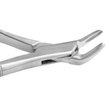 Extracting Forceps Fig. 151 Apical Lower Universal Forceps.