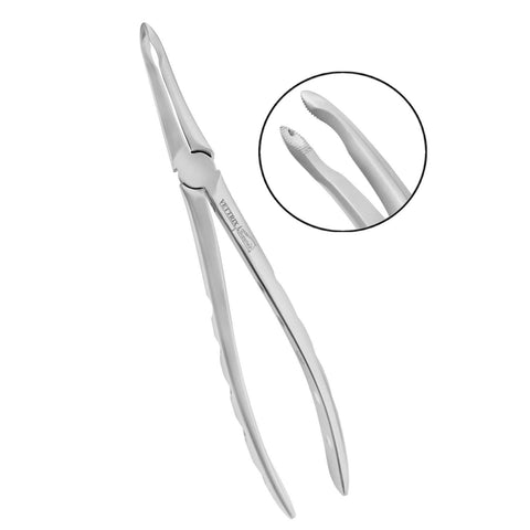 Extraction Forceps Upper Roots