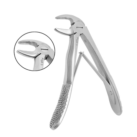 Extracting Forceps Klein #5 Lower Incisors.