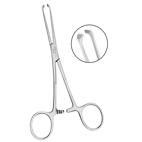 Allis Tissue Forceps 6" 4x5 Teeth