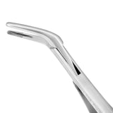 Root Forceps 300 Dental Extracting Roots Pick Forcep Tooth Extraction Instrument